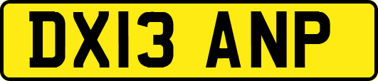 DX13ANP