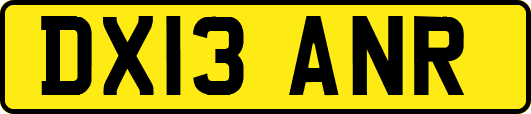 DX13ANR