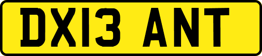 DX13ANT