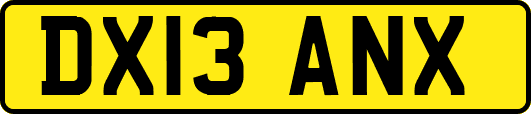DX13ANX