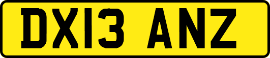 DX13ANZ