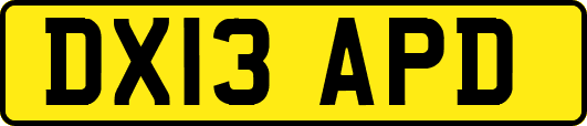 DX13APD