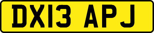 DX13APJ