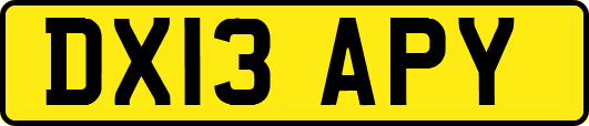 DX13APY