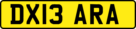 DX13ARA