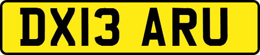 DX13ARU