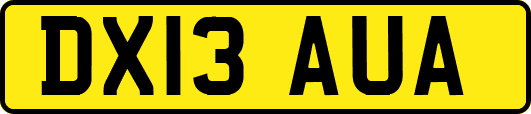 DX13AUA