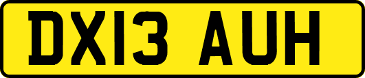 DX13AUH