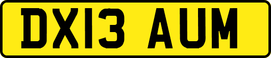 DX13AUM