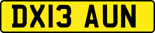 DX13AUN