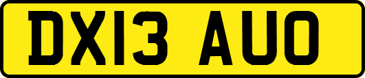 DX13AUO