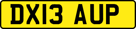 DX13AUP