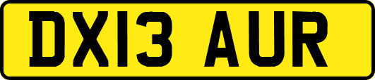 DX13AUR
