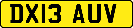 DX13AUV