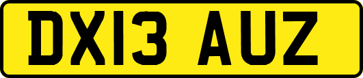 DX13AUZ