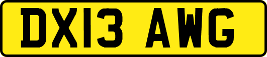 DX13AWG