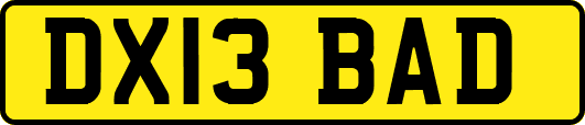 DX13BAD