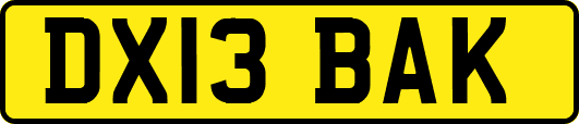 DX13BAK