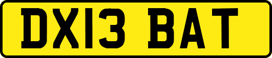 DX13BAT
