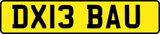 DX13BAU