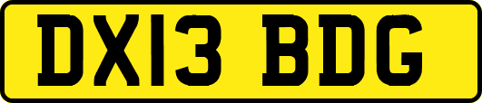 DX13BDG