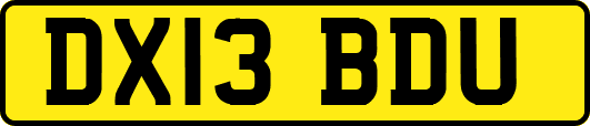 DX13BDU
