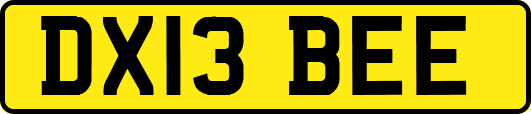 DX13BEE