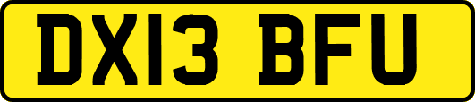 DX13BFU
