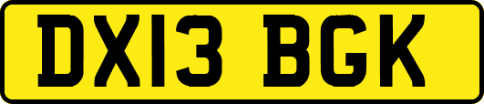 DX13BGK