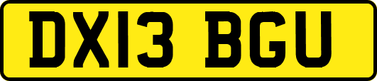 DX13BGU
