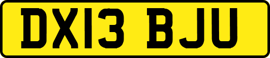 DX13BJU