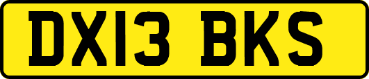 DX13BKS