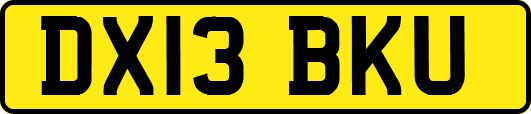 DX13BKU