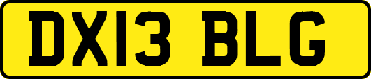 DX13BLG