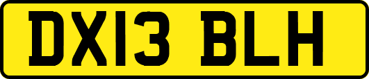DX13BLH