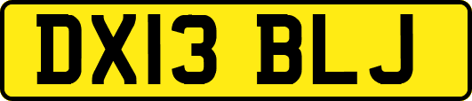 DX13BLJ