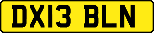 DX13BLN