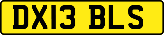 DX13BLS