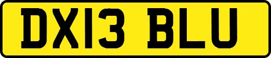DX13BLU