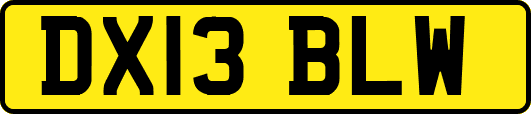 DX13BLW