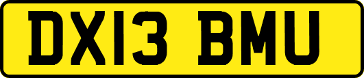 DX13BMU