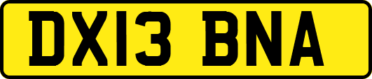 DX13BNA