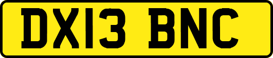 DX13BNC
