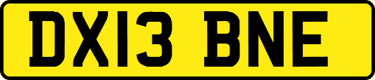 DX13BNE