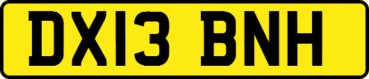 DX13BNH