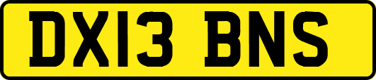 DX13BNS