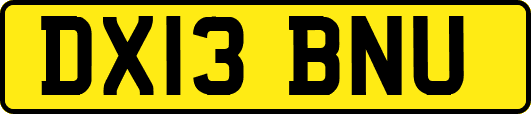 DX13BNU