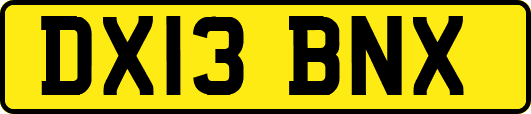 DX13BNX