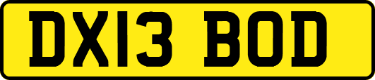 DX13BOD