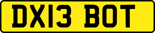 DX13BOT